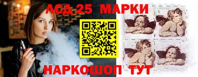 шишки Кингисепп