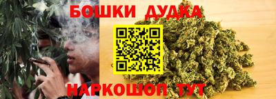 шишки Кингисепп