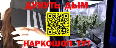 шишки Кингисепп