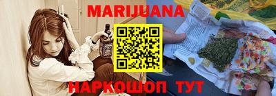 шишки Кингисепп