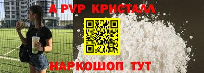 шишки Кингисепп