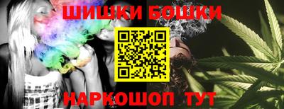 шишки Кингисепп
