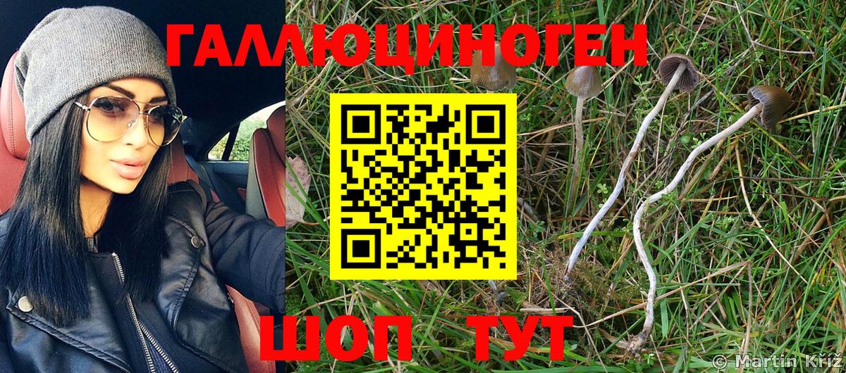 Кувандык  закладка  Вход с VPN  Псилоцибиновые грибы MAGIC MUSHROOMS 